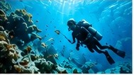 Mergulho e snorkeling